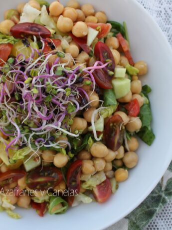 ensalada de garbanzos